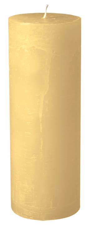 BAL Bougie cylindrique BAL Bougie cylindrique 440582900812 Couleur Écru Dimensions H: 22.0 cm Photo no. 1