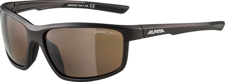 Image of Alpina Defey Sportbrille kohle