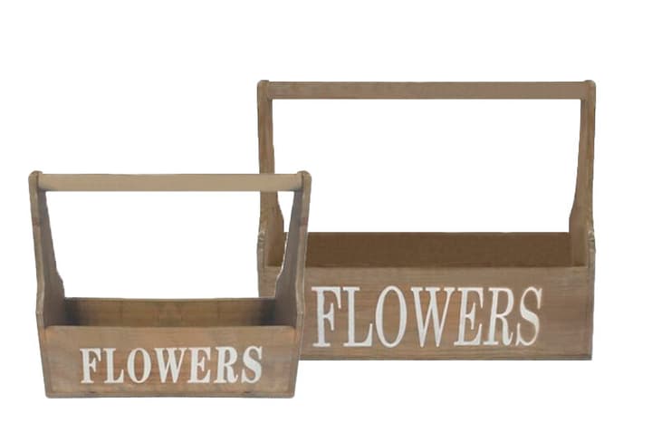 Image of Flowers Blumenkiste bei Do it + Garden von Migros