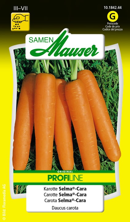 Image of Samen Mauser Karotte Selma®-Cara Gemüsesamen
