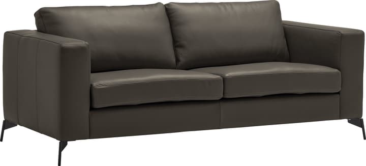 2.5er-Sofa DIENER