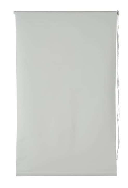 BLACKOUT Rollo BLACKOUT Rollo 430731704010 Farbe Weiss Grösse B: 40.0 cm x T: 130.0 cm x H: Bild Nr. 1