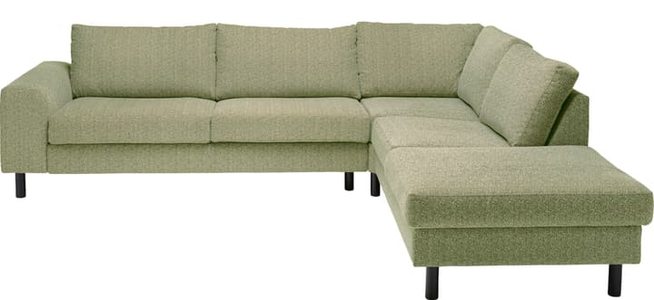 DIENER Ecksofa DIENER Ecksofa 405740400000 Farbe Grün Grösse B: 277.0 cm x T: 220.0 cm x H: 82.0 cm Bild Nr. 1