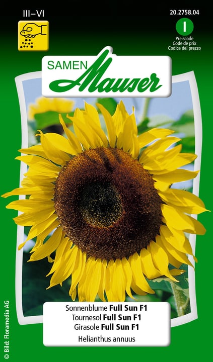 Image of Samen Mauser Sonnenblume Full Sun F1 Blumensamen