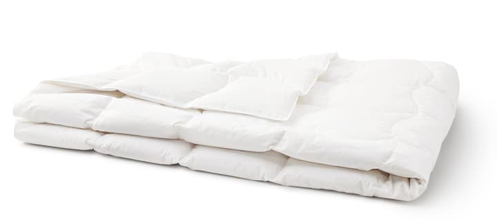 SANADAUN light Extraleichtes hochwertiges Duvet mit 90% Gänsedaunen und Milbenschutz SANADAUN light Extraleichtes hochwertiges Duvet mit 90% Gänsedaunen und Milbenschutz 451735512410 Farbe Weiss Grösse B: 160.0 cm x T: 240.0 cm Bild Nr. 1