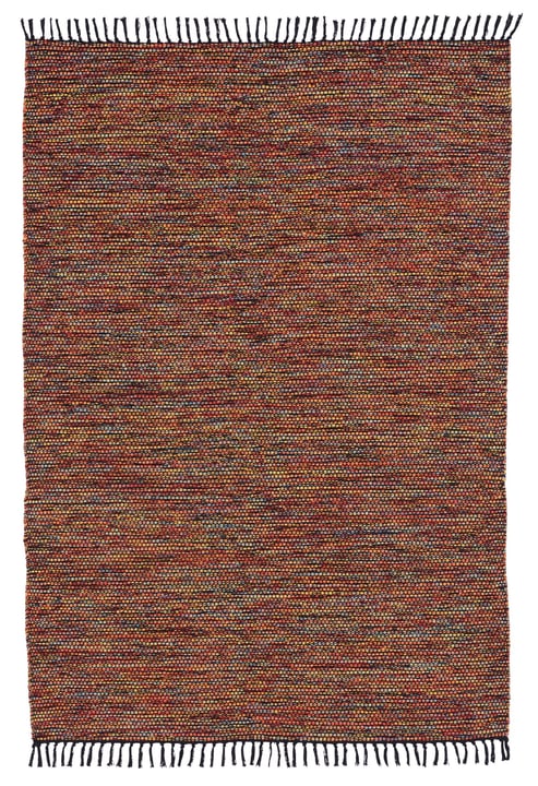PHILIPP Tapis PHILIPP Tapis 412008406092 Couleur multicouleur Dimensions L: 60.0 cm x P: 90.0 cm Photo no. 1