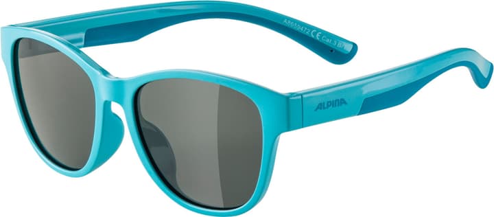 Image of Alpina Flexxy Cool Kids II Sportbrille grün