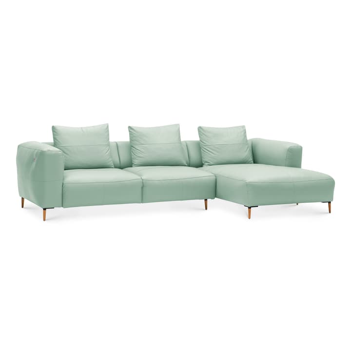 LOUIE Canapé d'angle LOUIE Canapé d'angle 360512773747 Dimensions L: 299.0 cm x P: 170.0 cm x H: 69.0 cm Couleur Vert menthe Photo no. 1
