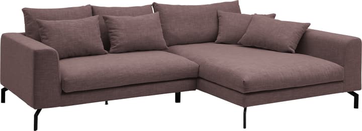 KRÄMER Divano ad angolo KRÄMER Divano ad angolo 405755500000 Colore Viola Dimensioni L: 280.0 cm x P: 171.0 cm x A: 80.0 cm N. figura 1