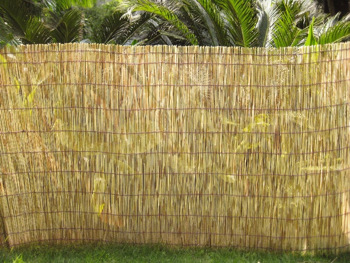 Do it + Garden Stuoia di canne scortecciate Stuoia di canne scortecciate Do it + Garden 631128700000 Colore Nature Taglio L: 500.0 cm x A: 100.0 cm N. figura 1