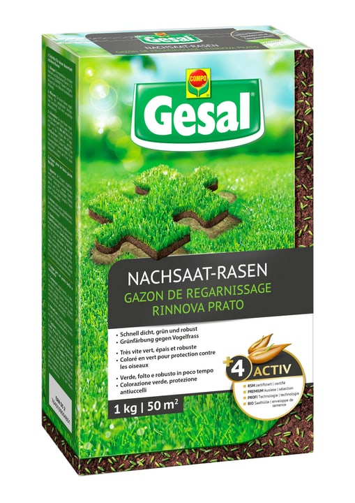 Image of Compo Gesal Nachsaat-Rasen, 1 kg Rasensamen