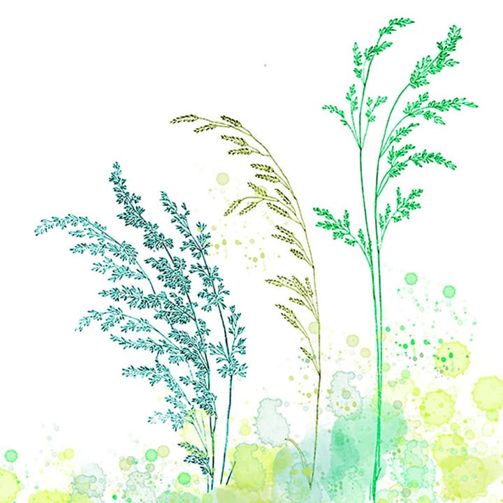 Image of Serviette 33cm bei Do it + Garden von Migros