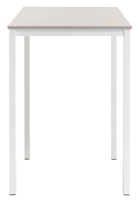 ALEXIS Tavolo bar ALEXIS Tavolo bar 402243300000 Dimensioni L: 80.0 cm x P: 80.0 cm x A: 110.0 cm Colore Effetto cemento N. figura 1