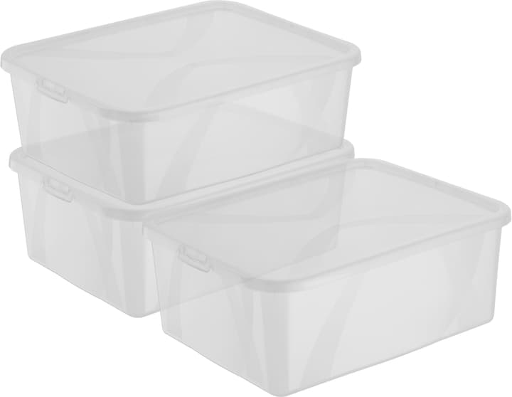 Image of Rotho Arco 10L, 3er Set Aufbewahrungsbox
