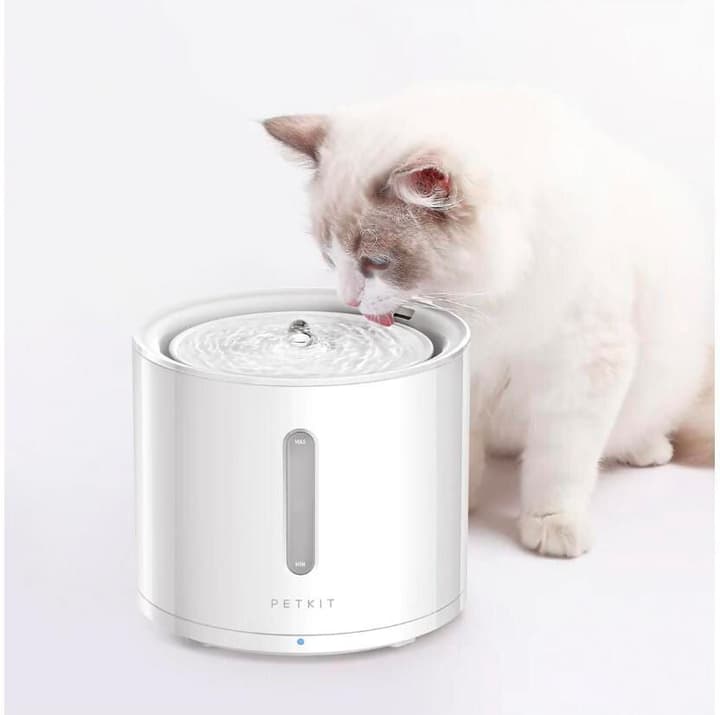 PETKIT Eversweet fontaine à eau Solo 2 Accessoires pour chats