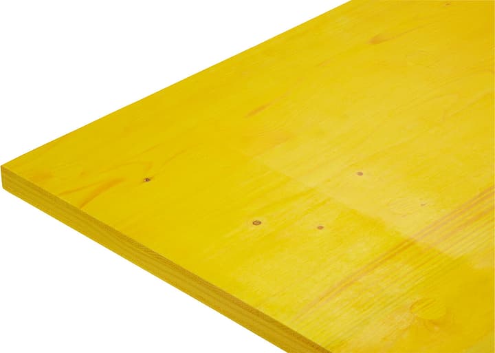 HolzZollhaus Pannelli di cassaforma Pannelli di cassaforma HolzZollhaus 642006700000 Longueur L: 2500.0 mm Dimensione 27 x 500mm N. figura 1