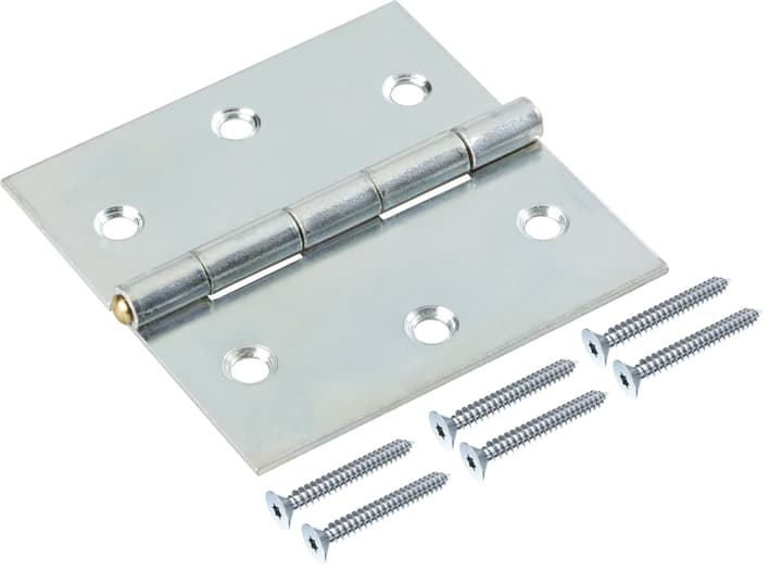 Image of Scharnier mit Schraube verzinkt 50 x mm Scharniere bei Do it + Garden von Migros