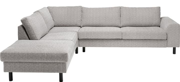 DIENER Canapé d'angle DIENER Canapé d'angle 405739900000 Couleur Gris Dimensions L: 272.0 cm x P: 220.0 cm x H: 82.0 cm Photo no. 1