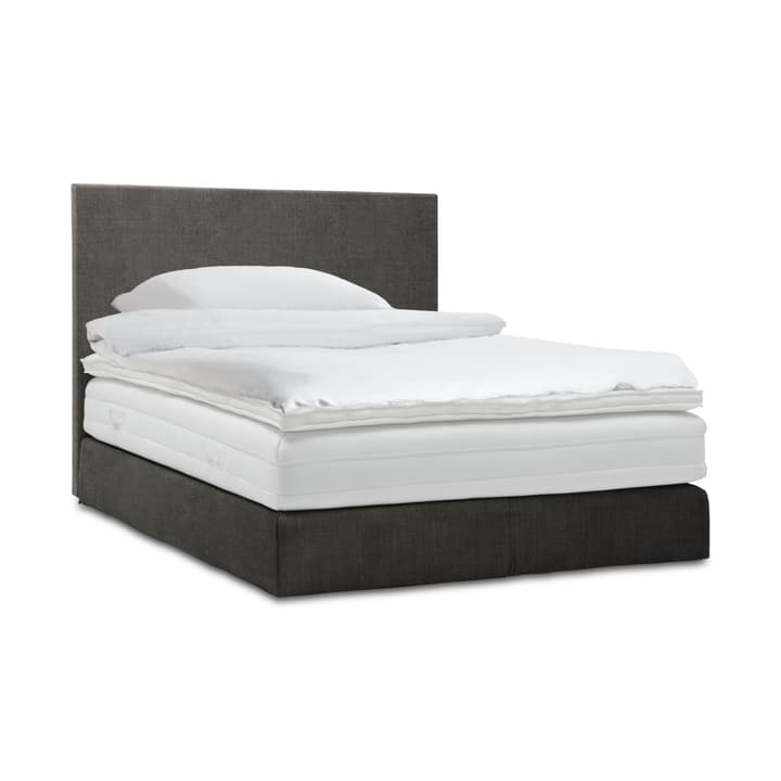 GRACE Boxspringbett GRACE Boxspringbett 364287700000 Grösse B: 200.0 cm x T: 160.0 cm Farbe Grau Bild Nr. 1
