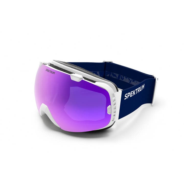 Image of Spektrum G002 Basic Skibrille / Snowboardbrille weiss