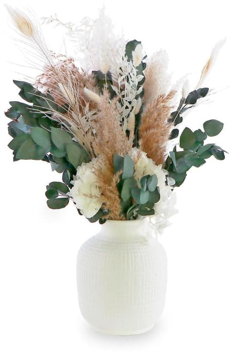 Image of Soli Collection Trockenblumen Lara 60 cm, Weiss/Grün