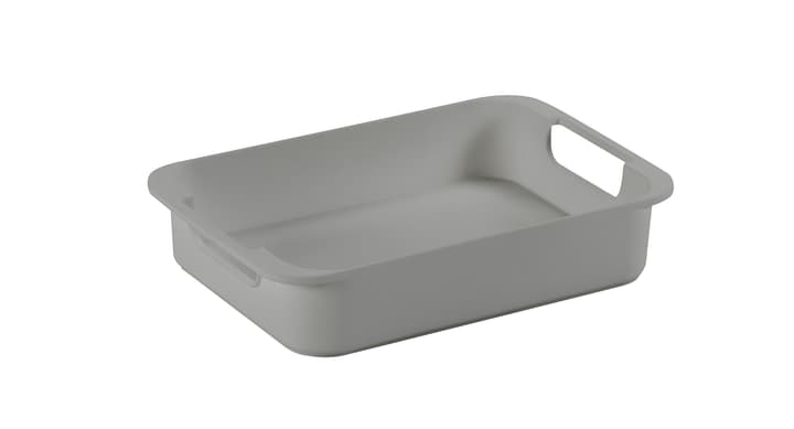 Image of Sigma home Tray S Einsatz bei Do it + Garden von Migros