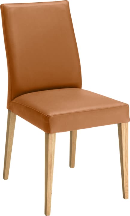 SERRA Stuhl SERRA Stuhl 402355500055 Grösse B: 46.0 cm x T: 57.0 cm x H: 92.0 cm Farbe Cognac Bild Nr. 1