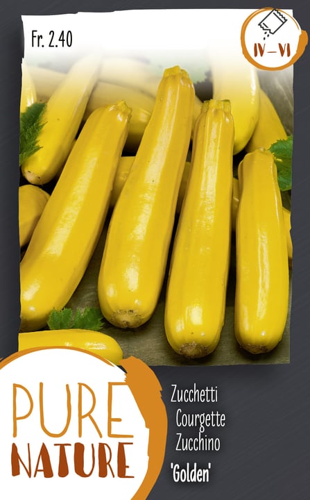 Image of Zucchetti 'Golden' 10 Korn Gemüsesamen bei Do it + Garden von Migros