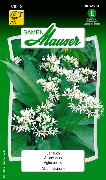 Image of Samen Mauser Bärlauch Kräutersamen