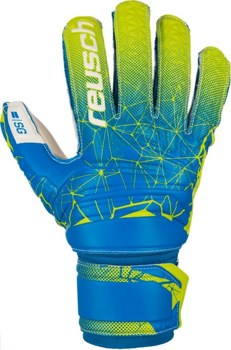Reusch Fit Control SG Finger Support Guanti da portiere di calcio Fit Control SG Finger Support Guanti da portiere di calcio Reusch 461943908040 Colore blu Taglie 8 N. figura 1