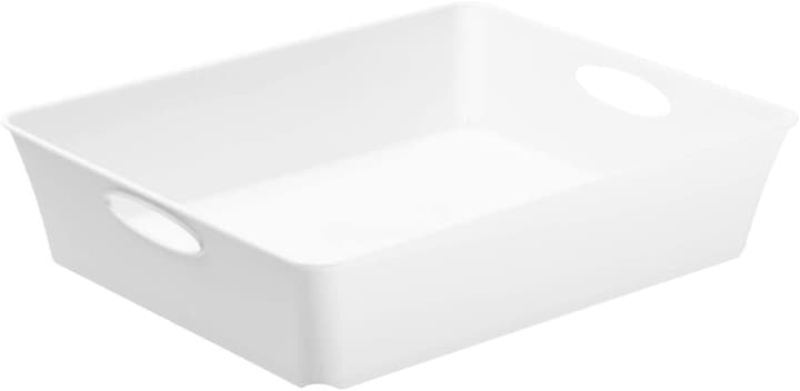 Image of Rotho Living Box C5 Korb bei Do it + Garden von Migros