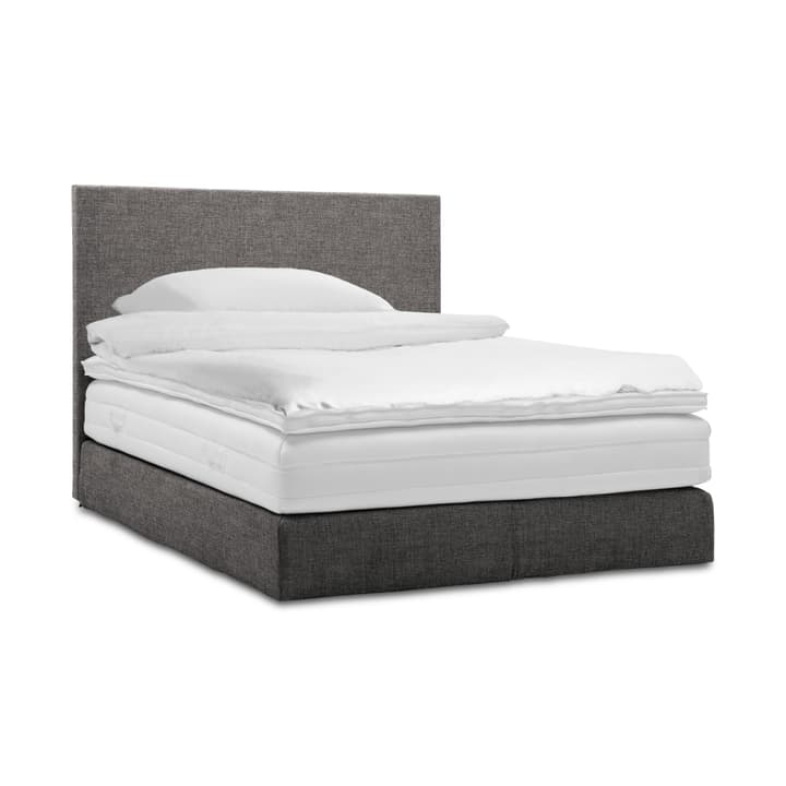 GRACE Boxspringbett GRACE Boxspringbett 364288000000 Grösse B: 200.0 cm x T: 160.0 cm Farbe Dunkelgrau Bild Nr. 1