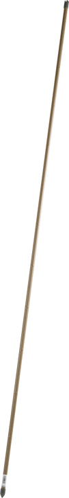 Image of Windhager BAMBUS Pflanzenstütze