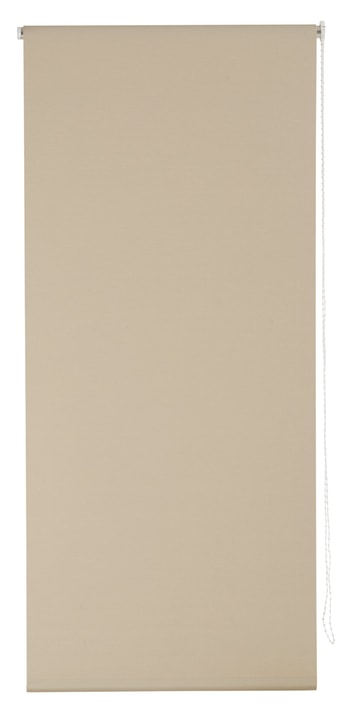 POLAR Rollo POLAR Rollo 430745307270 Farbe Braun Grösse B: 72.0 cm x H: 185.0 cm Bild Nr. 1