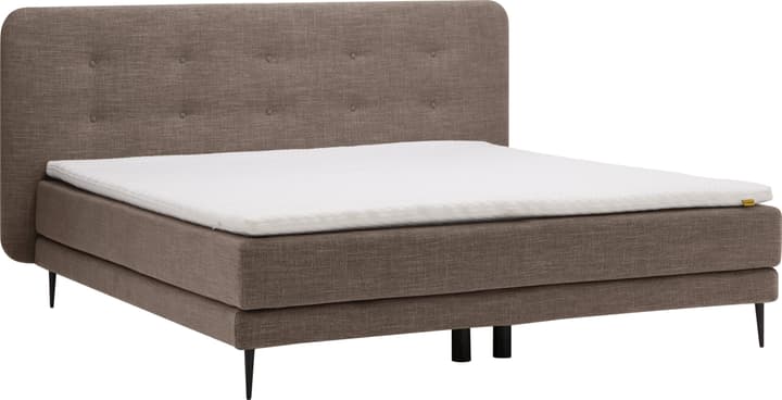Boxspringbett GOODNIGHT