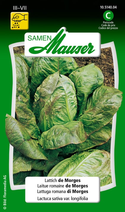 Image of Samen Mauser Lattich de Morges Gemüsesamen bei Do it + Garden von Migros