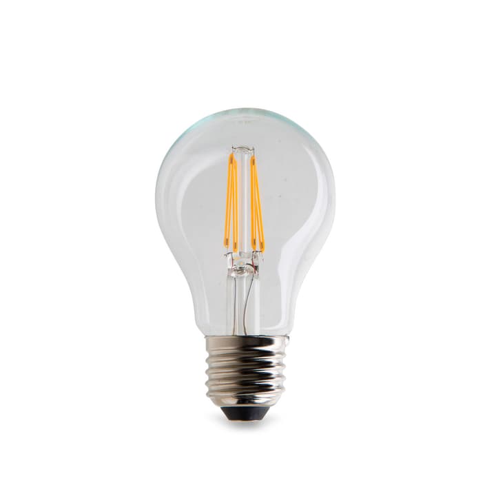 IDEA LED Ampoule IDEA LED Ampoule 380025700000 Photo no. 1
