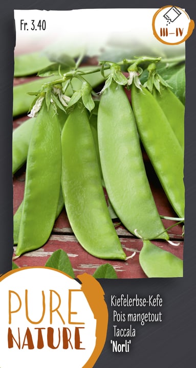 Image of Kiefelerbse-Kefe 'Norli' 50g Gemüsesamen bei Do it + Garden von Migros