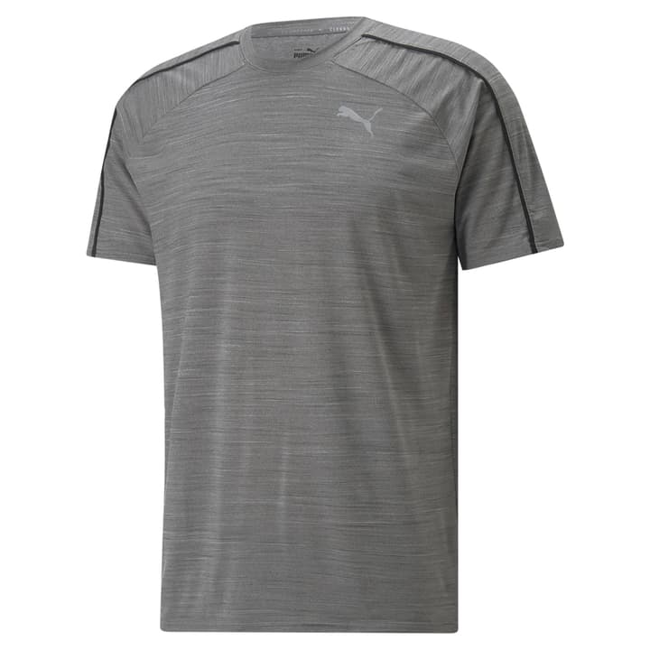 Image of Puma Cloudspun Tee Fitnessshirt grau bei Migros SportXX