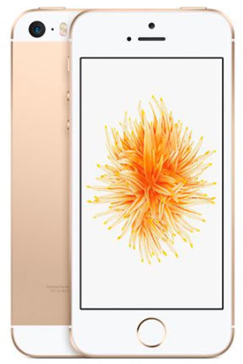 Apple iPhone SE 128GB oro iPhone SE 128GB oro Apple 794618900000 Photo no. 1