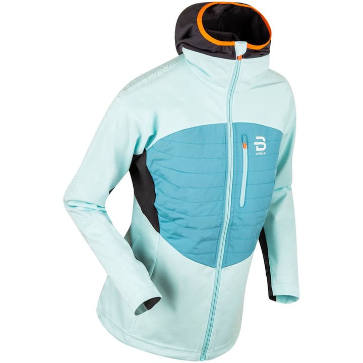 Image of Daehlie W Jacket North Langlaufjacke eisblau