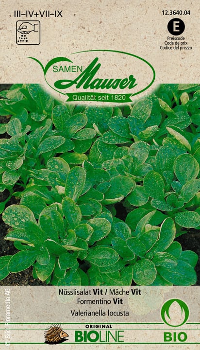Image of Samen Mauser Nüsslisalat Vit Gemüsesamen
