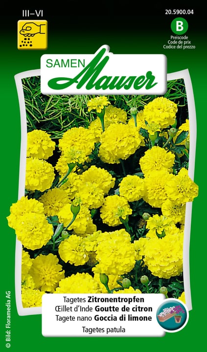 Image of Samen Mauser Tagetes Zitronentropfen Blumensamen bei Do it + Garden von Migros