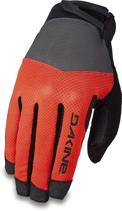 Image of Dakine Boundary Bike-Handschuhe beige bei Migros SportXX