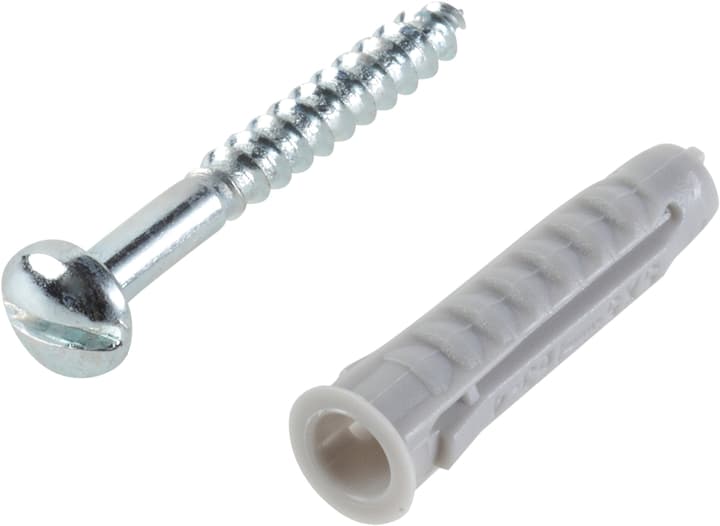 fischer Nylondübel SX 5 inkl. Schrauben Nylondübel SX 5 inkl. Schrauben fischer 605409900000 Bild Nr. 1