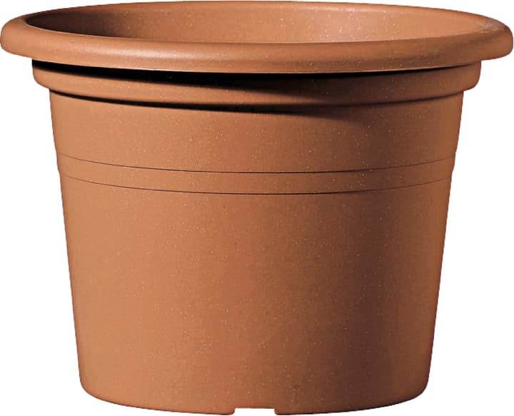 Deroma Vaso per piante Geo Vaso per piante Geo Deroma 659004300000 Taglio ø: 50.0 cm x A: 34.9 cm Colore Marrone N. figura 1