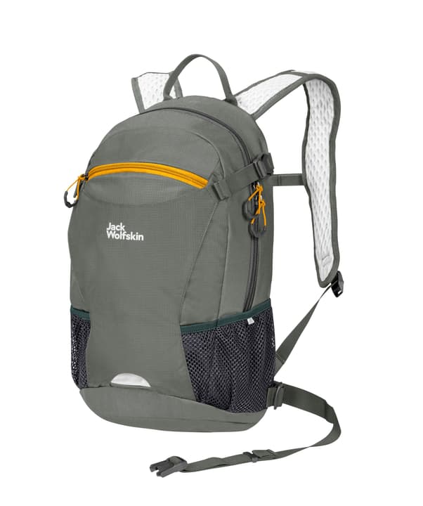 Image of Jack Wolfskin Velocity 12 Wanderrucksack grün