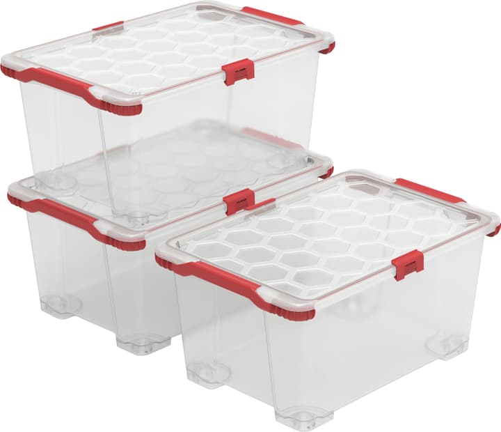 Image of Rotho Evo Total, 44L, 3er Set Aufbewahrungsbox