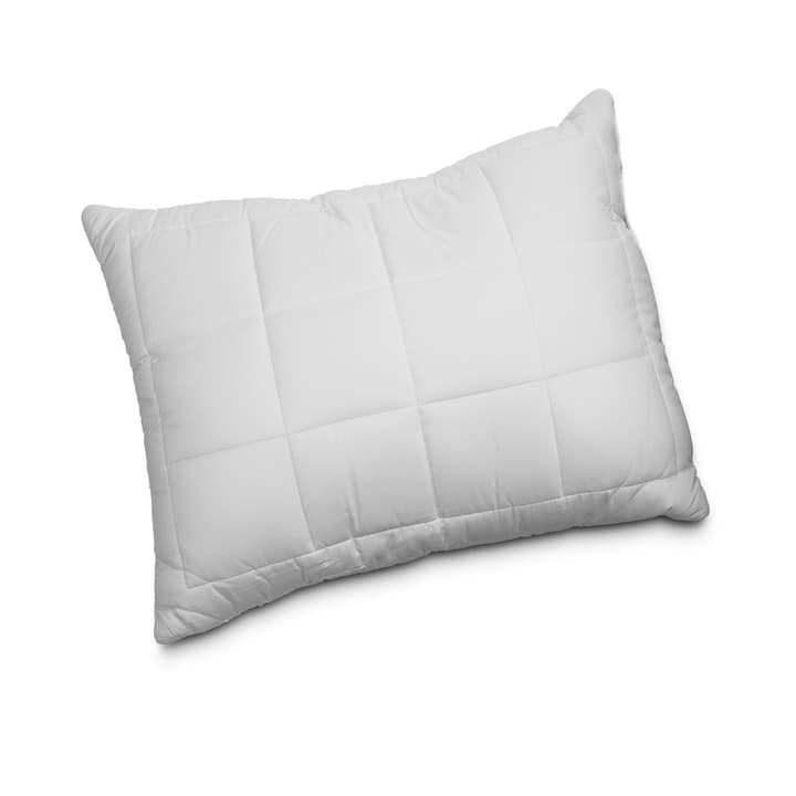 BAMBOO Cuscino in fibra naturale BAMBOO Cuscino in fibra naturale 376042300000 Dimensioni L: 65.0 cm x L: 65.0 cm Colore Bianco N. figura 1