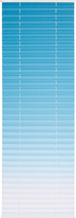 HORIZON Store plissé HORIZON Store plissé 430747206041 Couleur Bleu clair Dimensions L: 60.0 cm x H: 160.0 cm Photo no. 1